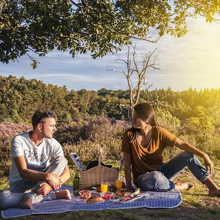 Schitterend Gelegen Luxe Ingericht 6 Persoons Aan De Bossen In 4-15 Chalet Putten
