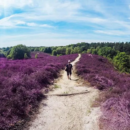 Schitterend Gelegen Luxe Ingericht 6 Persoons Met Hottub Aan De Bossen In 4-15 * Putten