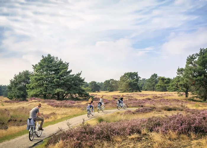 Schitterend Gelegen Luxe Ingericht 6 Persoons Aan De Bossen In 4-15 Alpstuga
