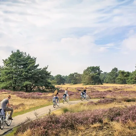 Schitterend Gelegen Luxe Ingericht 6 Persoons Aan De Bossen In 4-15 Chalet