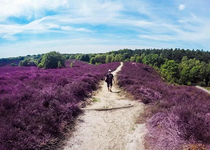 Schitterend Gelegen Luxe Ingericht 6 Persoons Aan De Bossen In 4-15 * Putten